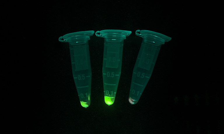 Fluorescence lifetime